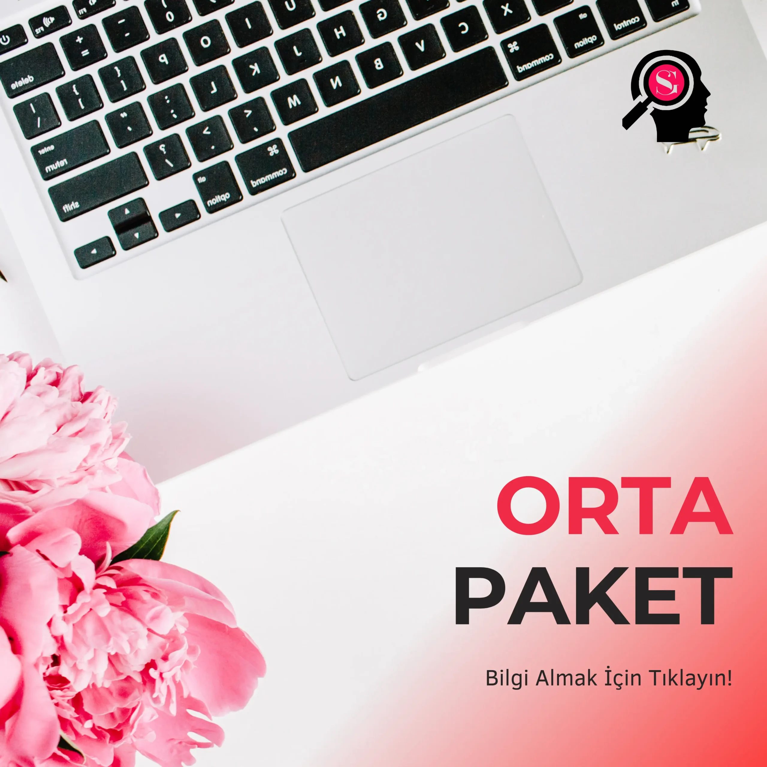 Orta Paket